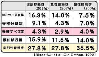 腰痛骨格表２.jpg