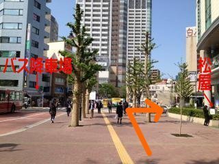 B2松屋本社ビル・銀杏の木.jpg